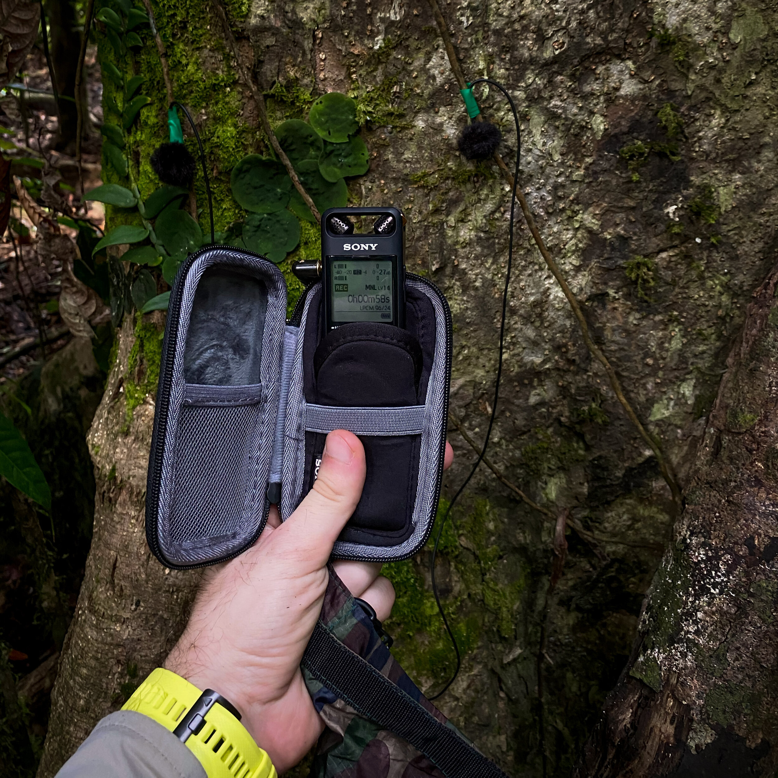 Sony PCM A10 long term review — Mindful Audio Sony PCM A10 long term review — Mindful Audio